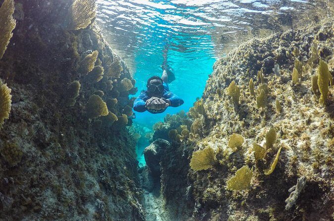 Snorkel Eco Tour - Final Words: Is It Right for You?