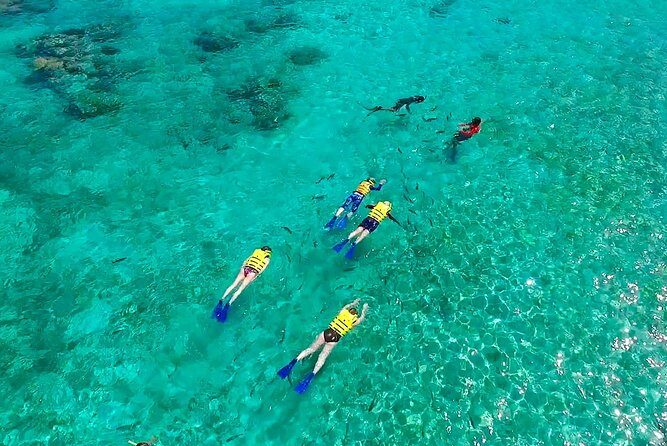 Snorkel Experience In Cancun! Reef and Sunken Ship - Who Should Consider This Tour?