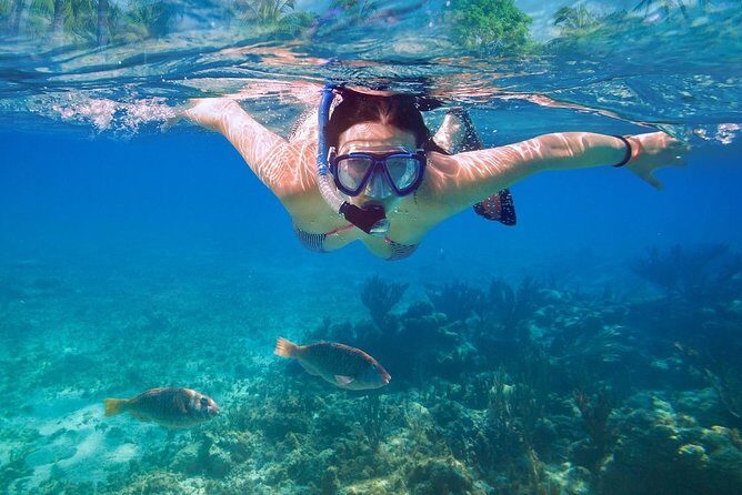 Snorkel Experience In Cancun! Reef and Sunken Ship - FAQ