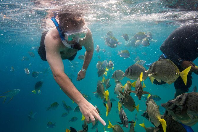 Snorkel & Explore Pelican Rock by Glass Boat + Photos - Final Thoughts