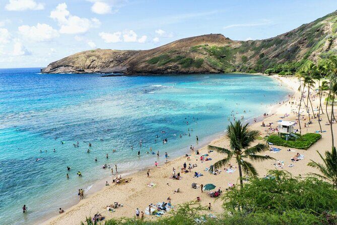 Snorkel Gears near Hanauma Bay - Exploring Snorkel Gears near Hanauma Bay: A Practical Guide for Oahu Travelers