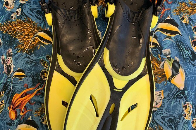 Snorkel Gears near Hanauma Bay - Authenticity and Real Guest Experiences