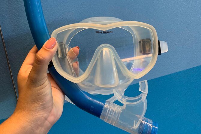 Snorkel Gears near Hanauma Bay - Practical Tips for Your Snorkel Gear Rental Experience