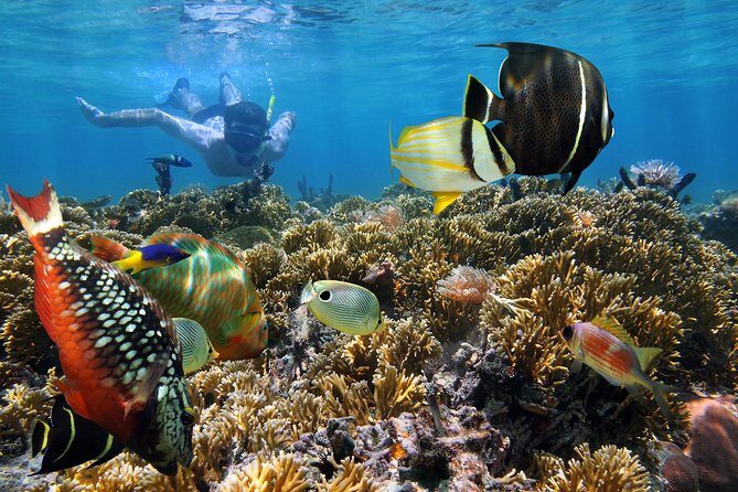 Snorkel Gears near Hanauma Bay - The Sum Up