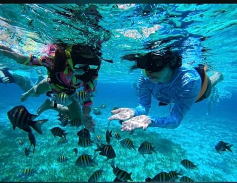 Snorkel in Cozumel and visit to El Cielo - Why Choose This Snorkeling Tour in Cozumel?