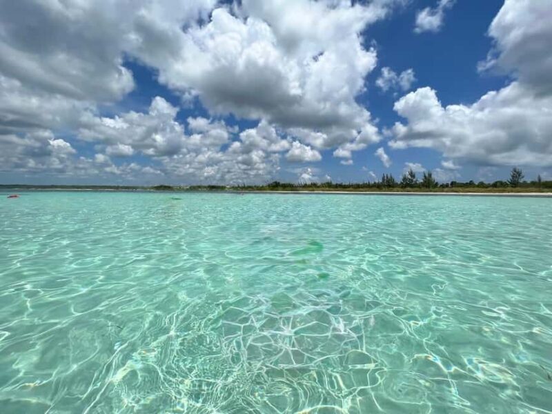 Snorkel in Cozumel and visit to El Cielo - The Marine Park Fee and Equipment