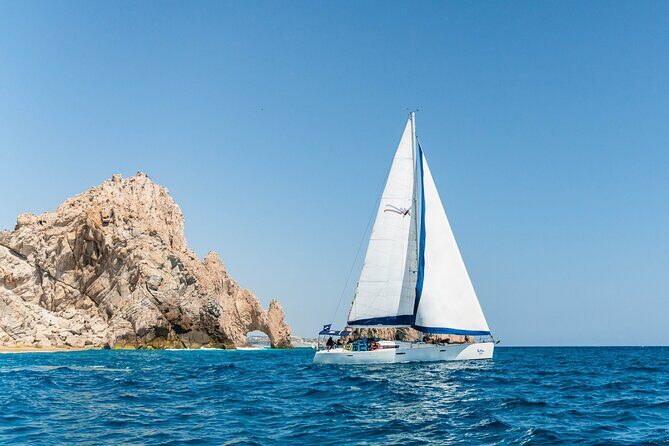 Snorkel in Luxury Sailing Boat + Food and Premium drink! - What Travelers Say