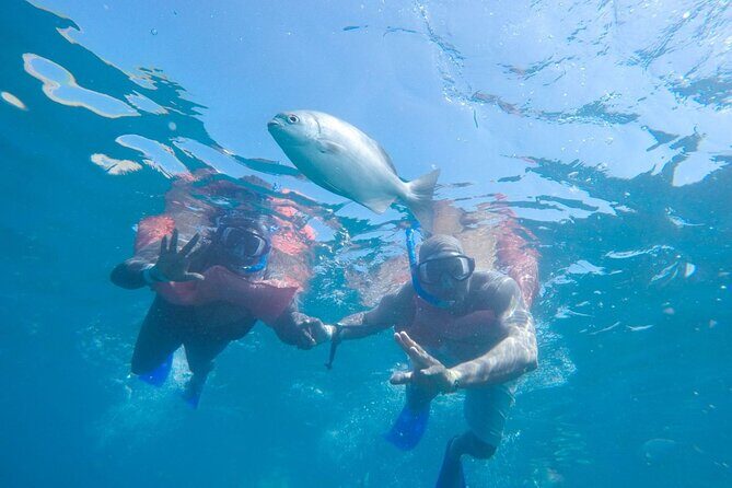 Snorkel in Luxury Sailing Boat + Food and Premium drink! - FAQ