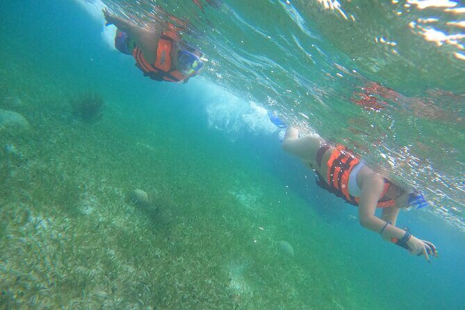 Snorkel in the beautiful reef of Puerto Morelos with transport - Who this tour is best for