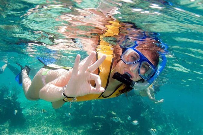 Snorkel in the second largest reef in the world Colorful tour in Puerto Morelos - Analyzing the Value