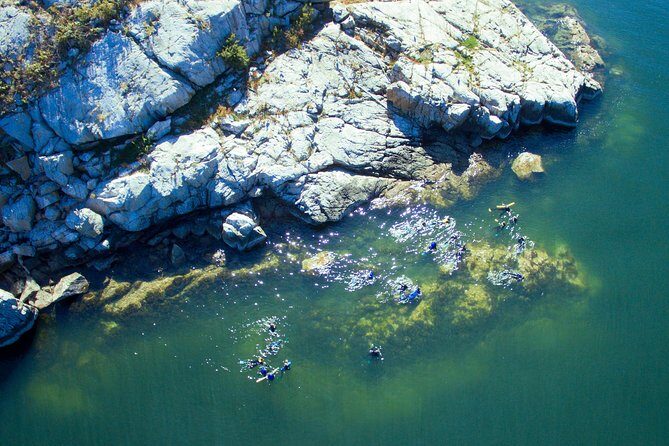 Snorkel, Kayak, and Seal Adventure: Vancouver Boat Tour - Setting Out on Vancouver’s Marine Adventure