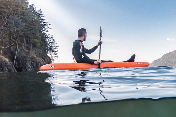 Snorkel, Kayak, and Seal Adventure: Vancouver Boat Tour - Who Should Consider This Tour?