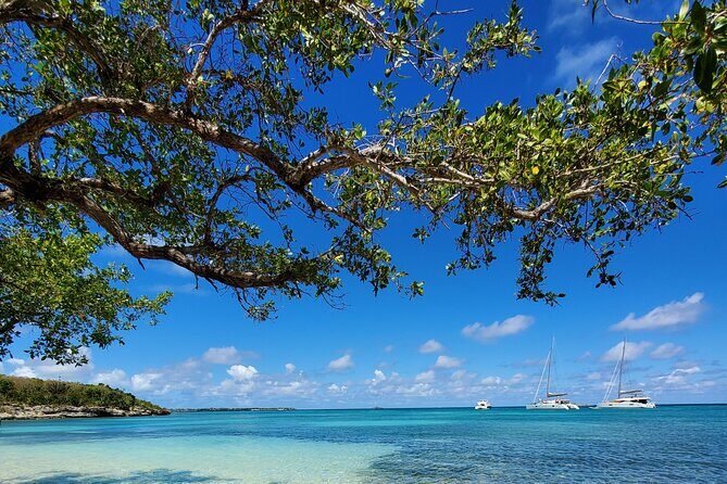 Snorkel - Lobster Lunch Cruise to Bird Island and Paradise Reef - Final Thoughts
