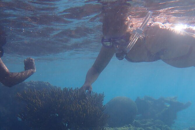 Snorkel marathon - An Overview of the Snorkel Marathon Experience