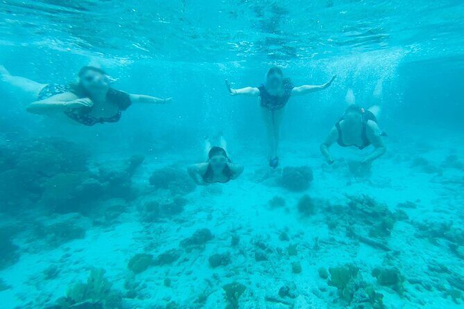 Snorkel marathon - Who Should Book This Tour?