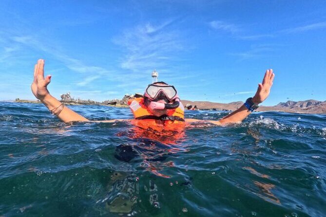 Snorkel or Sunset in La Paz aboard a 42 feet Yacht - The Experience Overview