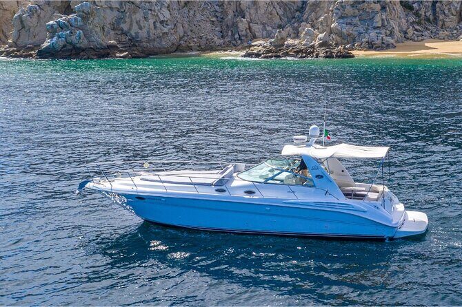 Snorkel or Sunset in La Paz aboard a 42 feet Yacht - Snorkeling with Sea Lions and Marine Life