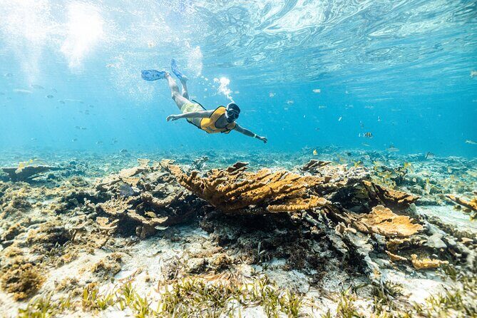 Snorkel Paradise Cancun 5 in 1 For Non Swimmers - Who Should Consider This Tour?
