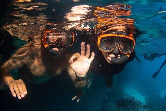 Snorkel Shore Trip with Scubaçao "East Point" - An In-Depth Look at the Snorkel Shore Trip