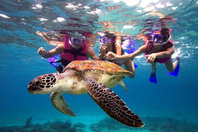 Snorkel, Swim & Snap-w/ Video - Key Points