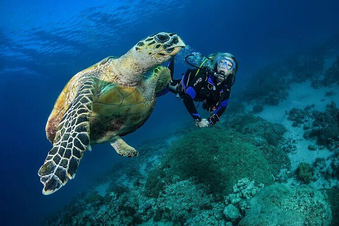Snorkel, Swim & Snap-w/ Video - What You Should Expect