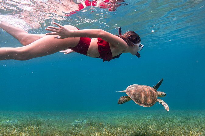 Snorkel, Swim & Snap-w/ Video - Who Will Love This Tour?