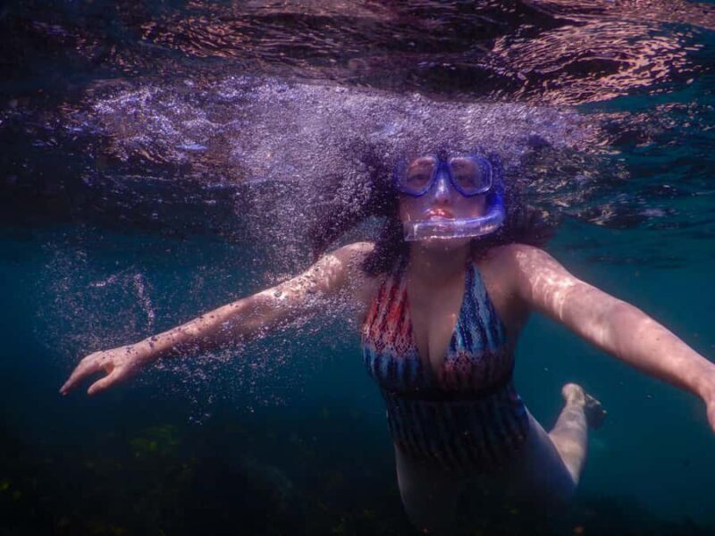 Snorkel Sydneys Stunning Marine Reserve on a Private Tour - Authentic Feedback From Participants