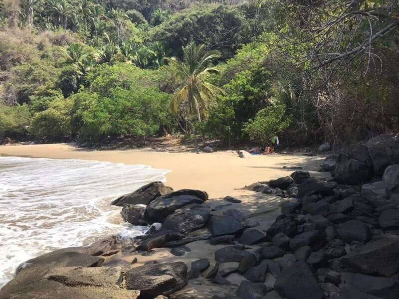Snorkel to Playa del Toro departing from Sayulita : day at the beach - Final Thoughts: Why Choose This Tour?