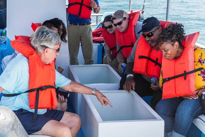 Snorkel Tour and Glass-Bottom Boat Ride in Cabo San Lucas - Who Should Consider This Tour?