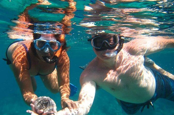 Snorkel Tour - The Itinerary: What You Can Expect