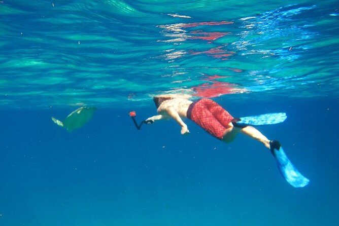 Snorkel Tour - Who Will Love This Tour?