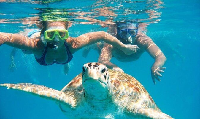 Snorkel Tour in Curacao - Discovering Curacao’s Marine Diversity