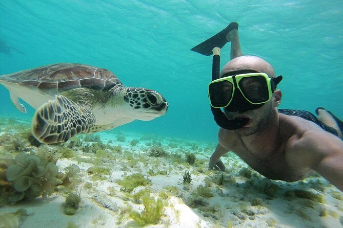 Snorkel Tour in Curacao - The Guide and the Personal Touch