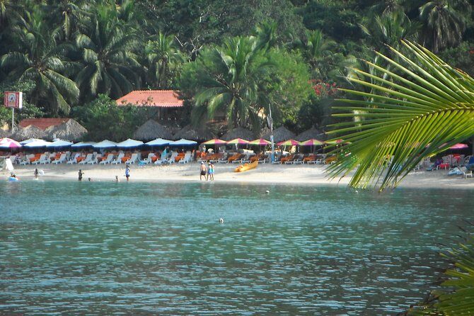 Snorkel Tour in Las Gatas Water Break - A Deep Dive into the Experience