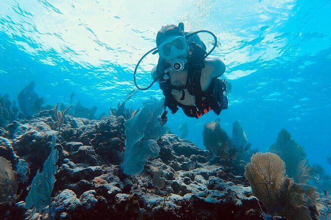 Snorkel Tour - Visit 2 Shallow Reefs John Pennekamp State Park - An In-Depth Look at the Snorkel Tour Experience