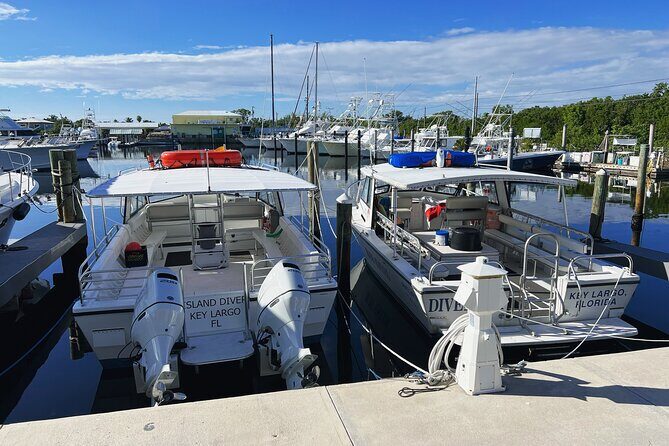 Snorkel Tours to Key Largo reef for up to 6 people-INCLUDES GEAR! - Key Points