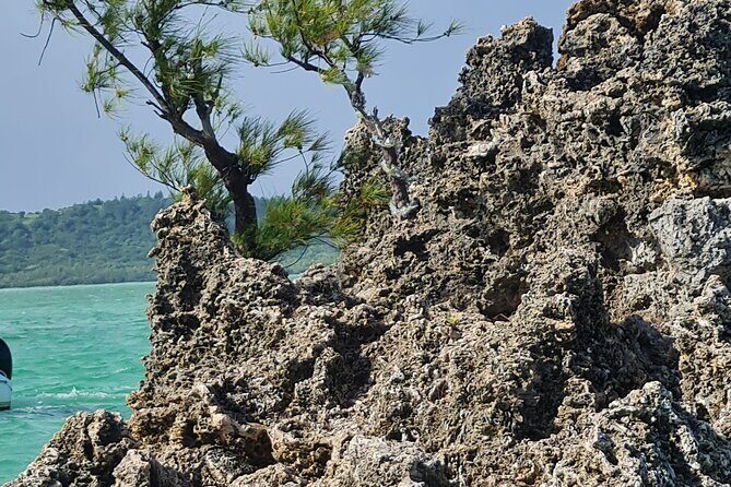 Snorkel with Dolphins, Lunch on Benitiers island, Speedboat - The Sum Up: Is This Tour Right for You?