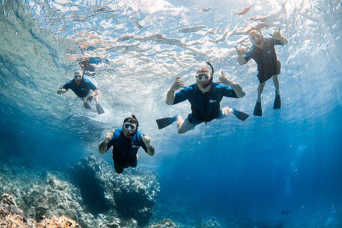 Snorkel with Turtles and Free Underwater Photos Lahaina - An In-Depth Look at the Maui Snorkeling Experience