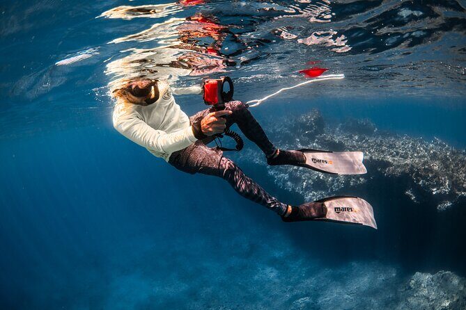 Snorkel with Turtles and Free Underwater Photos Lahaina - FAQs
