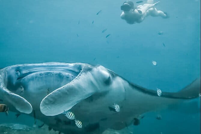 Snorkeling 3 Spots with GoPro & West Coast Tour Nusa Penida - Exploring Nusa Penida: A Closer Look at the Tour