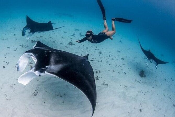 Snorkeling 4 Spot With Manta Bay Or Optional Land Trip - Key Points
