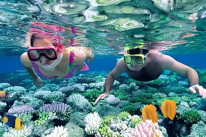 Snorkeling 4 Spot With Manta Bay Or Optional Land Trip - What You’ll Visit and Why It Matters