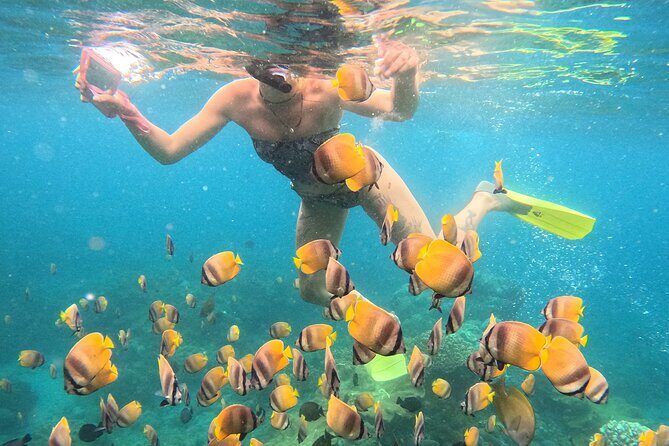 Snorkeling 4 Spot With Manta Bay Or Optional Land Trip - Potential Drawbacks