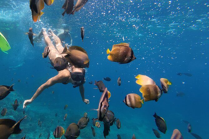 Snorkeling 4 Spot With Manta Bay Or Optional Land Trip - Who Is This Tour Best For?