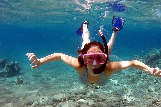 Snorkeling Activity in Aqaba with Lunch and Transportation (Boat) - Key Points