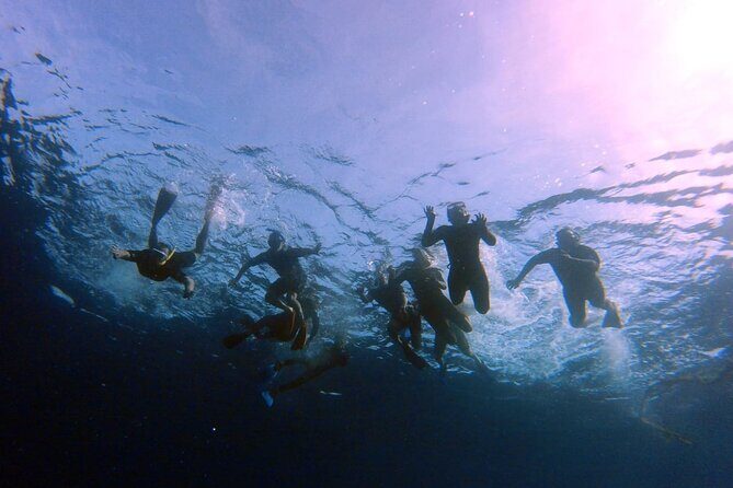 Snorkeling Activity in Aqaba with Lunch and Transportation (Boat) - The Itinerary — What You Can Expect