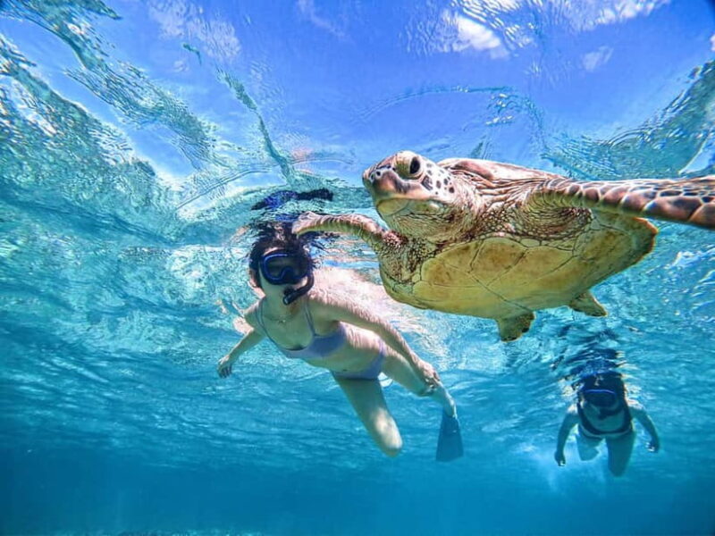 Snorkeling Activity in Okinawa Miyako Japan - Introduction