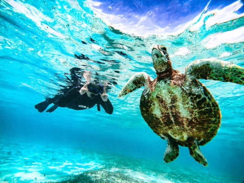 Snorkeling Activity in Okinawa Miyako Japan - Key Points