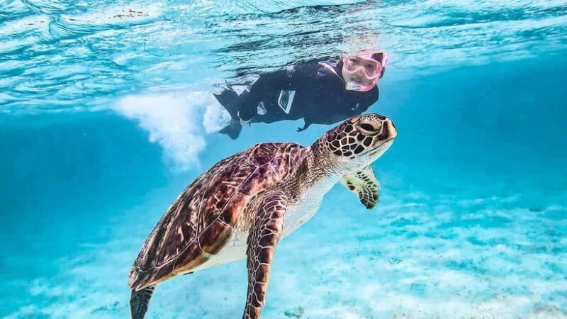 Snorkeling Activity in Okinawa Miyako Japan - The Experience in Detail