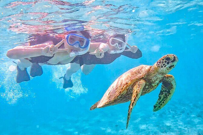 Snorkeling Activity in Okinawa Miyako Japan - Key Points